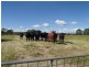 306 Pozieres Road, Stanthorpe QLD 4380