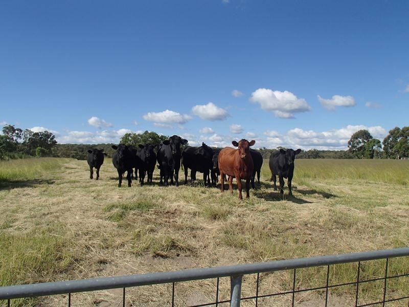 306 Pozieres Road, Stanthorpe QLD 4380