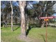 306 Pozieres Road, Stanthorpe QLD 4380