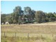 367 Back Creek Road, Stanthorpe QLD 4380