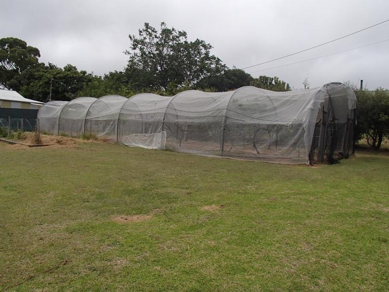 60 Bengalla Street, Wallangarra QLD 4383