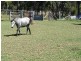 21 Straw Bale Lane, Stanthorpe QLD 4380