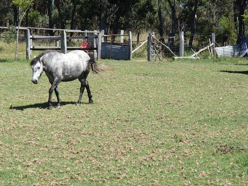 21 Straw Bale Lane, Stanthorpe QLD 4380