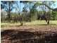 Lot 1, 57A Hale Haven Drive, Stanthorpe QLD 4380