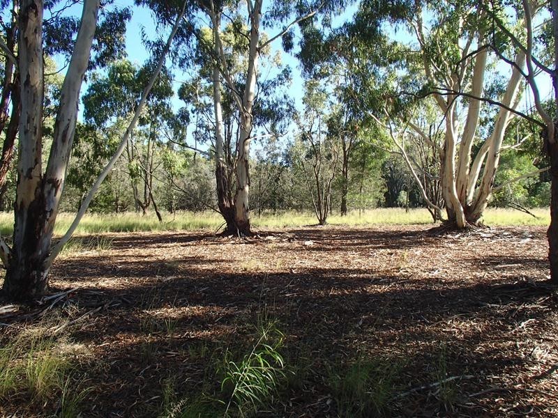 Lot 1, 57A Hale Haven Drive, Stanthorpe QLD 4380