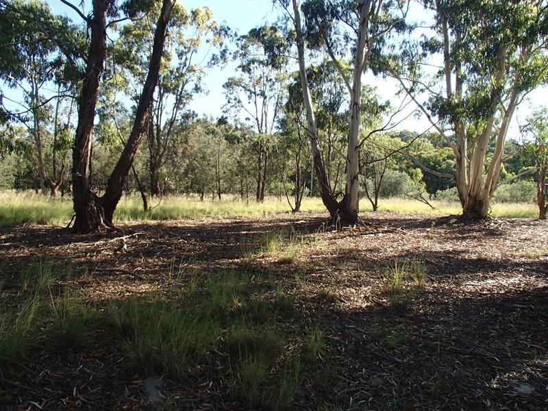 Lot 1, 57A Hale Haven Drive, Stanthorpe QLD 4380