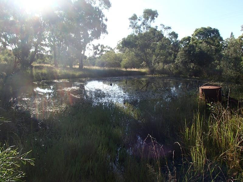 Lot 1, 57A Hale Haven Drive, Stanthorpe QLD 4380