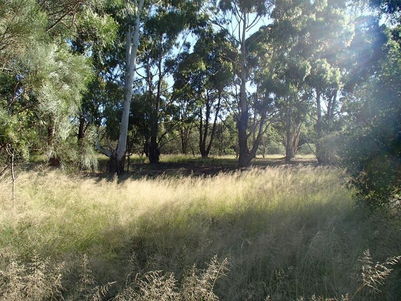 Lot 1, 57A Hale Haven Drive, Stanthorpe QLD 4380