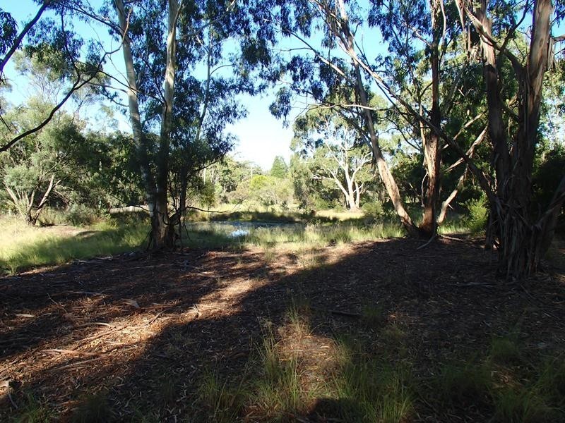 Lot 1, 57A Hale Haven Drive, Stanthorpe QLD 4380