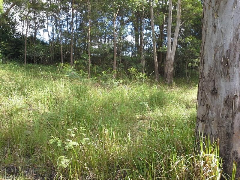 62 Kingfisher Lane, Liston NSW 2372