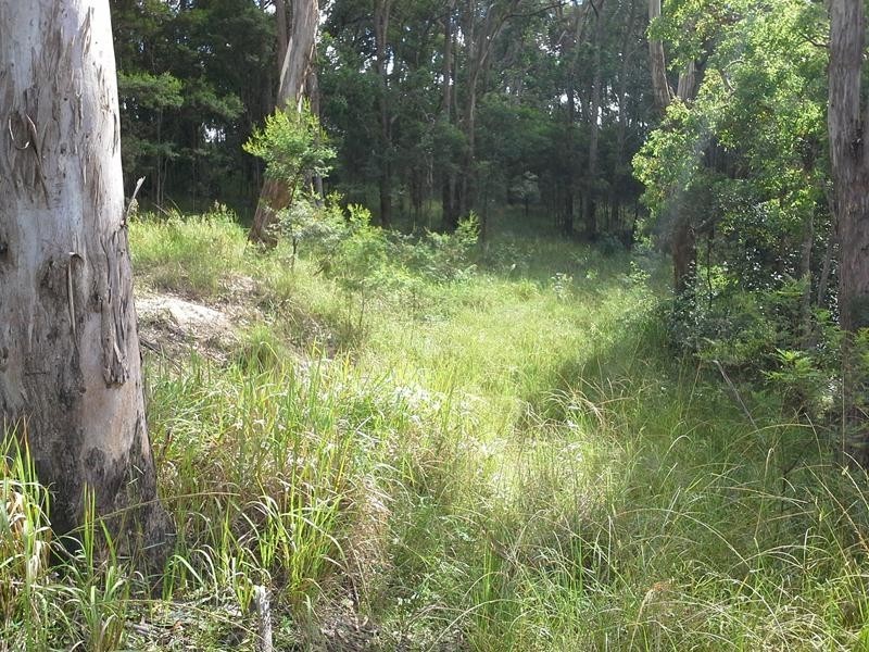 62 Kingfisher Lane, Liston NSW 2372