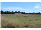 205 Ridge Road, Stanthorpe QLD 4380