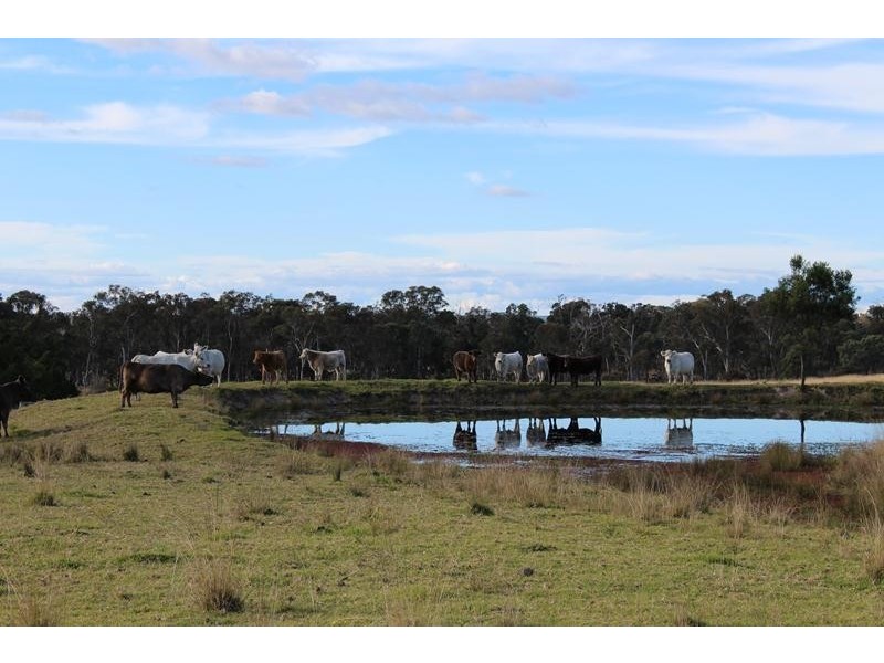 205 Ridge Road, Stanthorpe QLD 4380