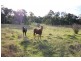 205 Ridge Road, Stanthorpe QLD 4380