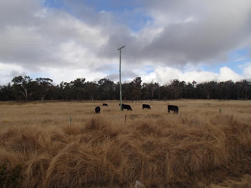 Lot 2, Mt Tully Road, Stanthorpe QLD 4380