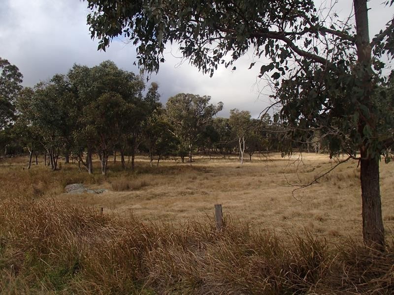 Lot 2, Mt Tully Road, Stanthorpe QLD 4380