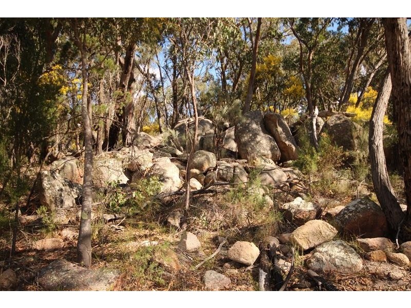 370 Mt Tully Road, Stanthorpe QLD 4380