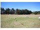 41 Caulley Lane, Stanthorpe QLD 4380