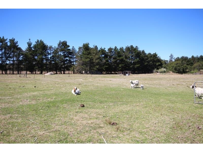 41 Caulley Lane, Stanthorpe QLD 4380