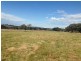 1359 Wylie Creek Road, Stanthorpe QLD 4380