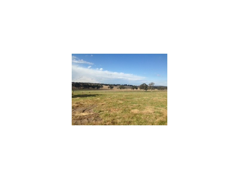 1359 Wylie Creek Road, Stanthorpe QLD 4380