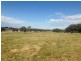 1359 Wylie Creek Road, Stanthorpe QLD 4380