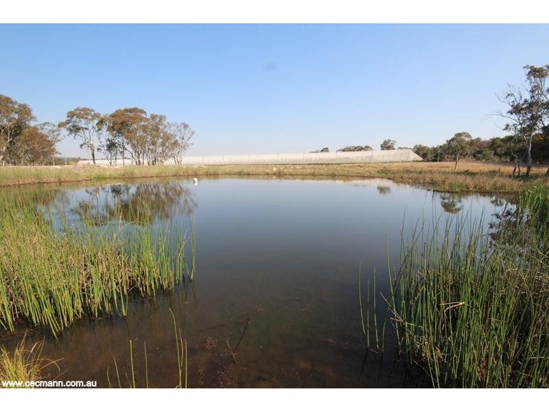 20 Glen Niven Road, Stanthorpe QLD 4380