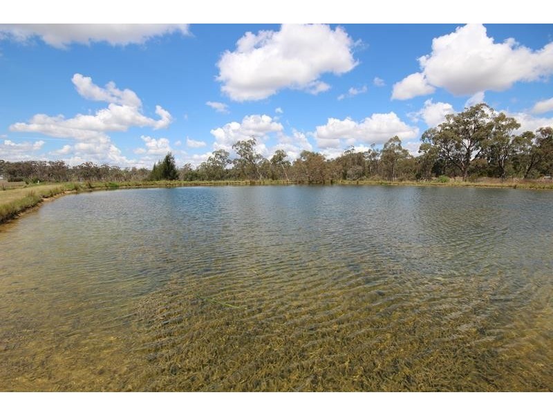 10 Bau Court, Stanthorpe QLD 4380