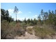 191 Whiskey Gully Road, Stanthorpe QLD 4380