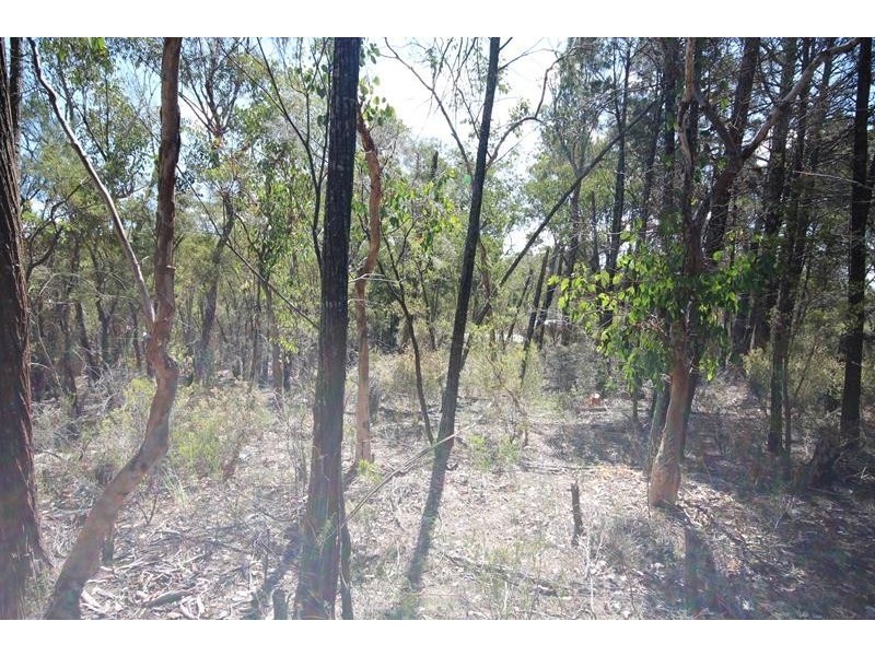191 Whiskey Gully Road, Stanthorpe QLD 4380