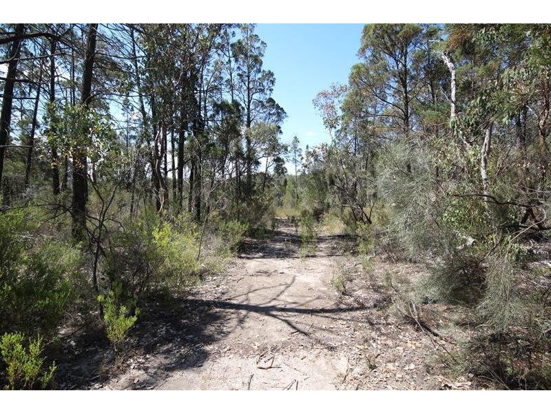 191 Whiskey Gully Road, Stanthorpe QLD 4380