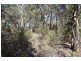 191 Whiskey Gully Road, Stanthorpe QLD 4380