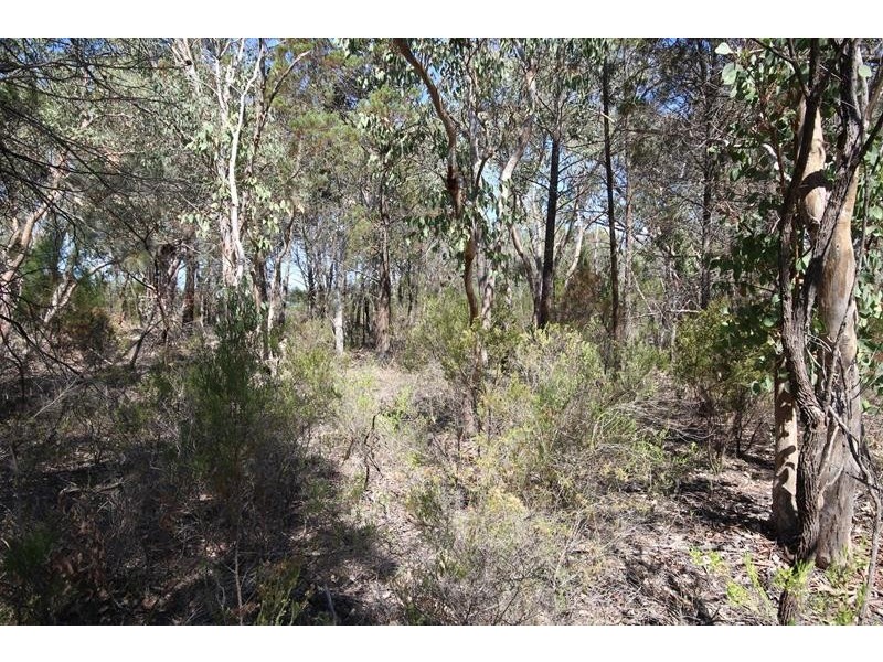 191 Whiskey Gully Road, Stanthorpe QLD 4380