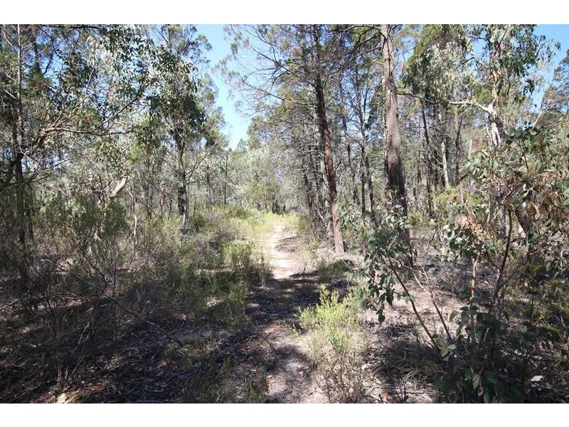191 Whiskey Gully Road, Stanthorpe QLD 4380