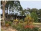 19 Cummerford Road, Glen Aplin QLD 4381