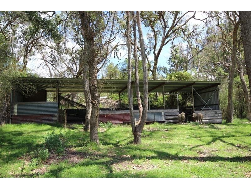 528 Cannon Creek Road, Cannon Creek QLD 4380