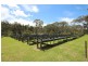 528 Cannon Creek Road, Cannon Creek QLD 4380