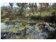 528 Cannon Creek Road, Cannon Creek QLD 4380