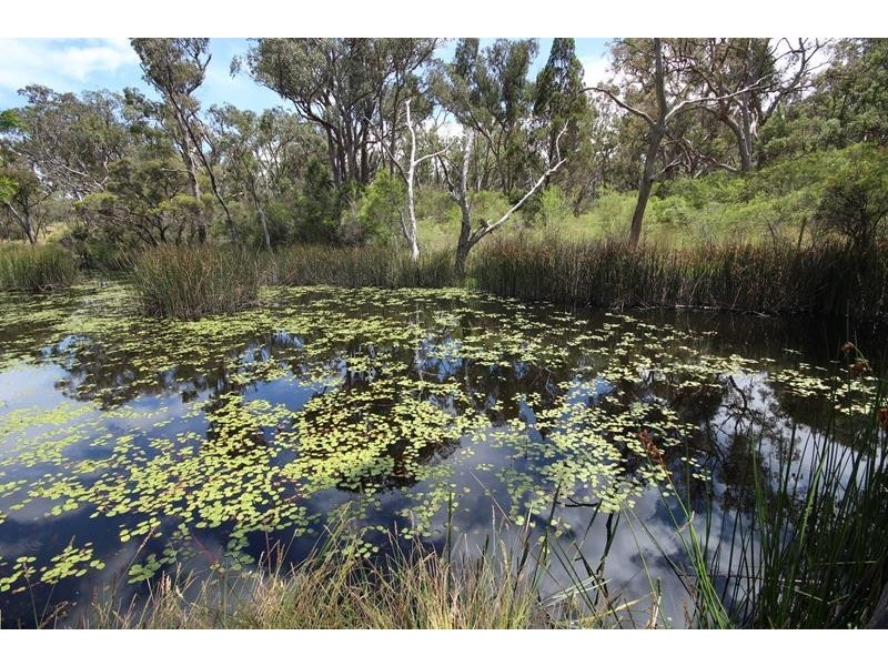 528 Cannon Creek Road, Cannon Creek QLD 4380