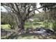 528 Cannon Creek Road, Cannon Creek QLD 4380