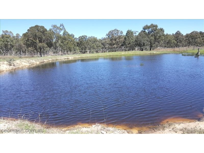36 Willocks Lane, Stanthorpe QLD 4380