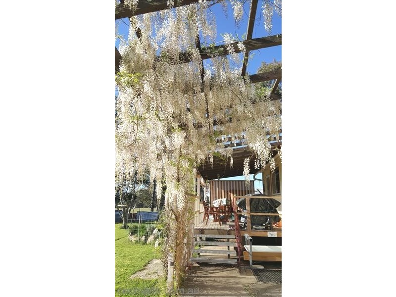 36 Willocks Lane, Stanthorpe QLD 4380