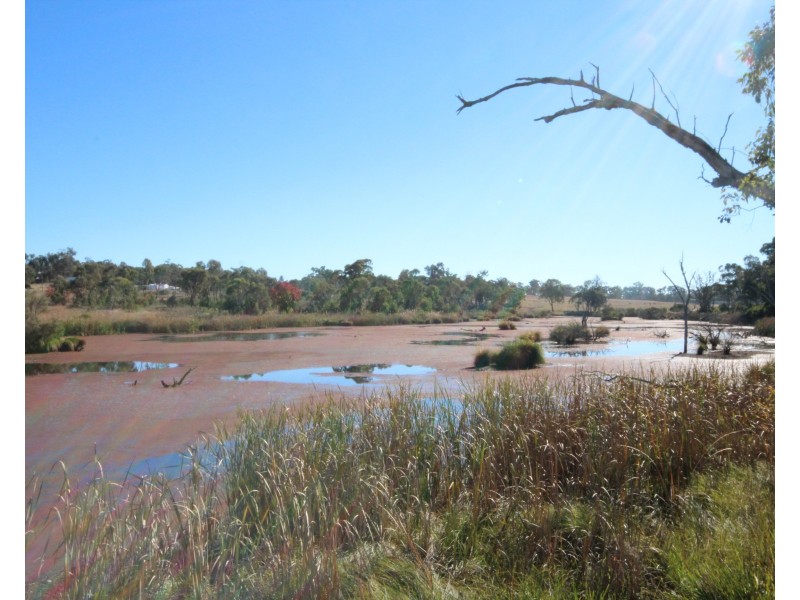 Lot 1 New England Highway, Glen Aplin QLD 4381