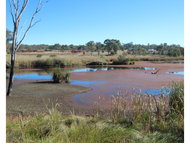 Lot 1 New England Highway, Glen Aplin QLD 4381