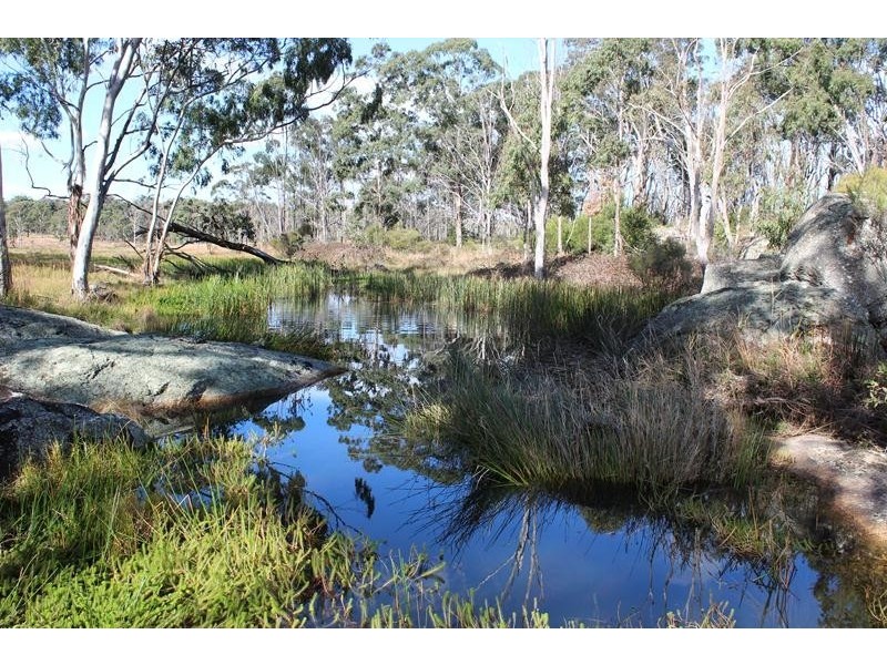 Lot 53, 53 O’Keefe Road, Dalveen QLD 4374