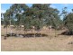 Lot 53, 53 O’Keefe Road, Dalveen QLD 4374