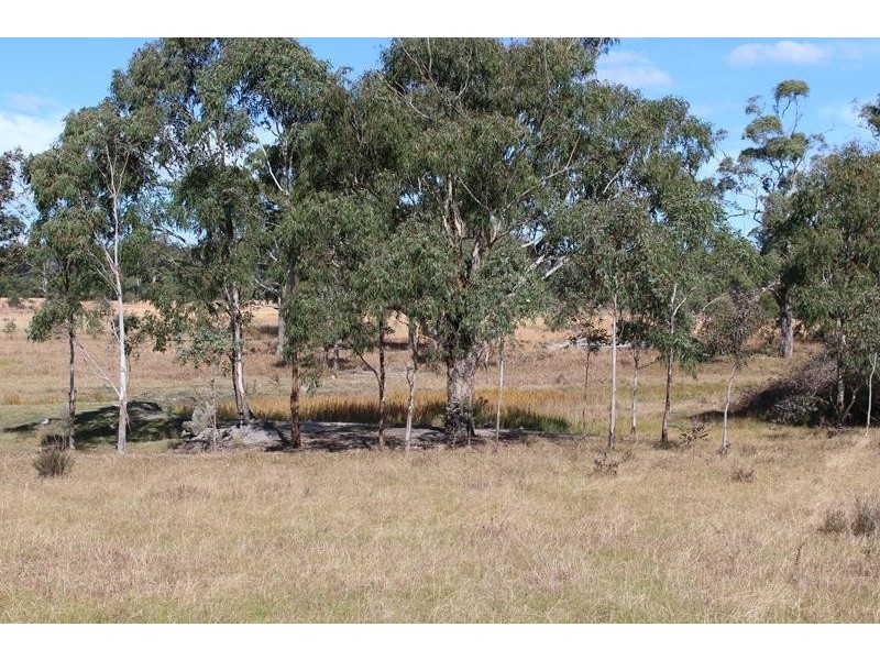 Lot 53, 53 O’Keefe Road, Dalveen QLD 4374