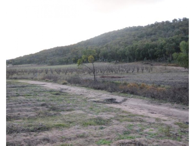 198 Days Road, Ballandean QLD 4382