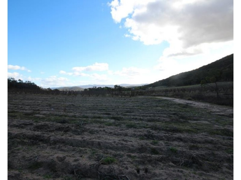 198 Days Road, Ballandean QLD 4382