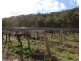 198 Days Road, Ballandean QLD 4382